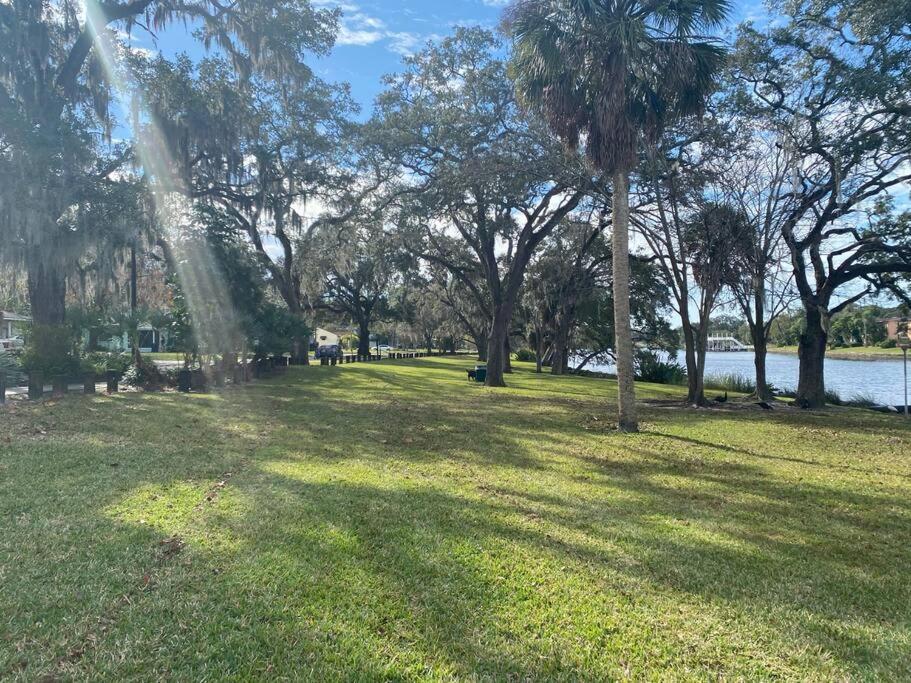 Chic Pad In Center Of Seminole Heights-322 Apartment Tampa Ngoại thất bức ảnh